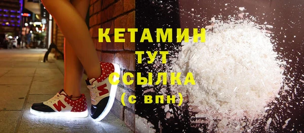 шишки Бородино