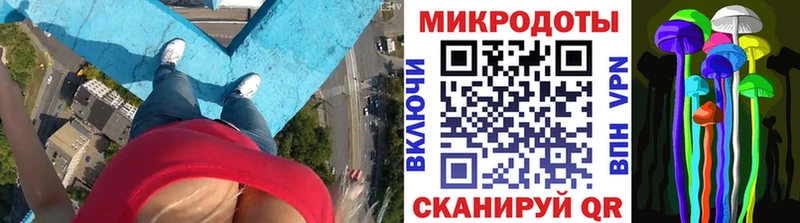 Псилоцибиновые грибы Psilocybe  Купить где  Сланцы 