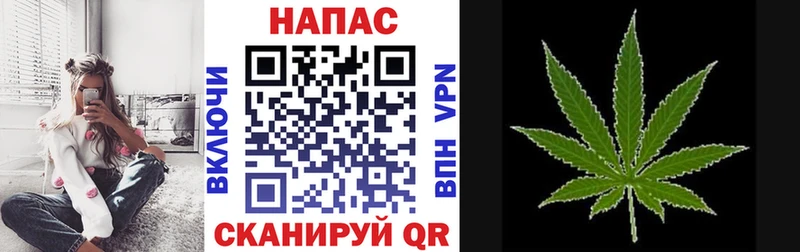 Купить где  Сланцы  Марихуана семена 